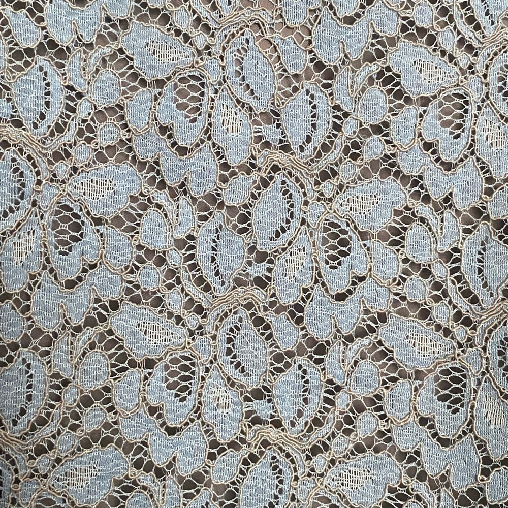 Blue Lace Sleeveless Blouse - Picture 7 of 7
